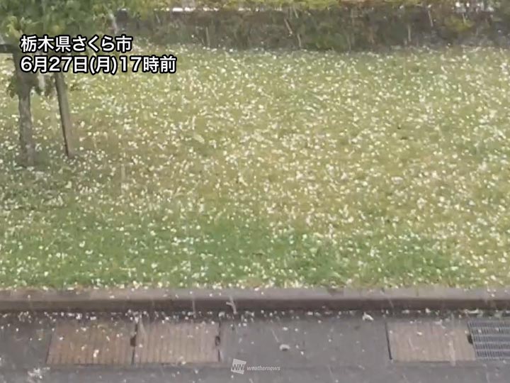 希少　気象　天然の雹　ひょう　千葉・茨城産　落ちたてホヤホヤ厳選採集 希少 気象 天然の雹 ひょう 千葉・茨城産 落ちたてホヤホヤ厳選