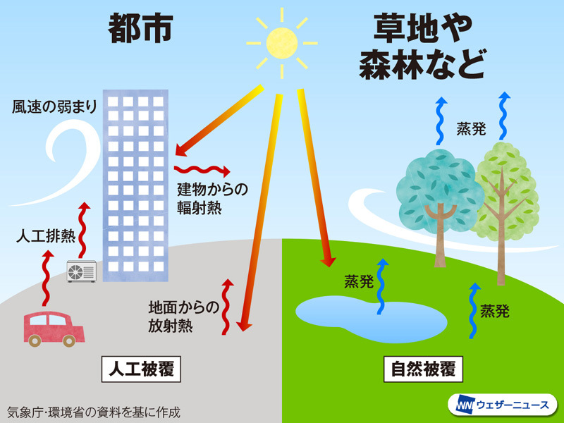 よく聞く「ヒートアイランド現象」ってなに!? - ウェザーニュース