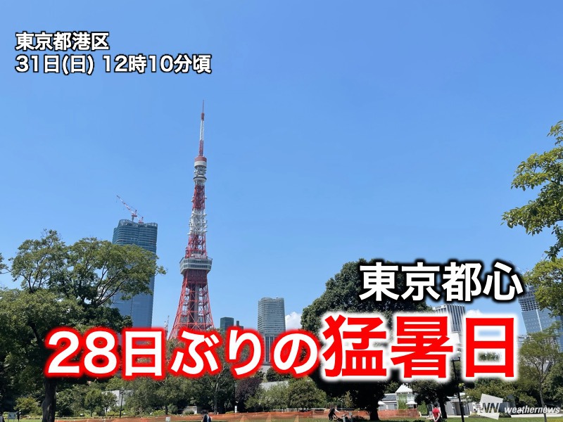 東京都心で35 に到達 7月3日以来 28日ぶりの猛暑日に ウェザーニュース