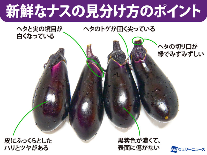 ナスに豊富な栄養価 鮮度はヘタで見極める - ウェザーニュース