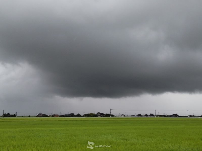 夏休みの自由研究にもおすすめ ゲリラ雷雨の前兆 とは ウェザーニュース