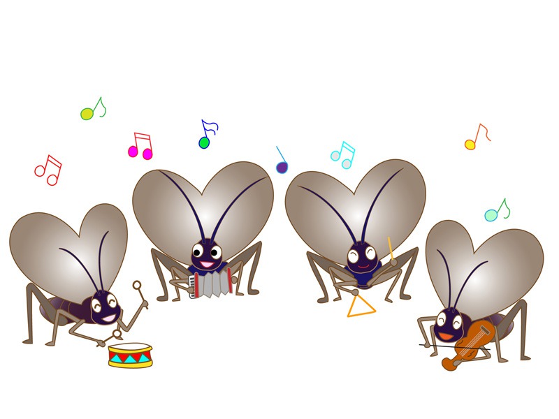 効果音集 （虫の鳴き声） 秋の鳴く虫】キリギリス・コオロギなど13種類の鳴き声 - YouTube