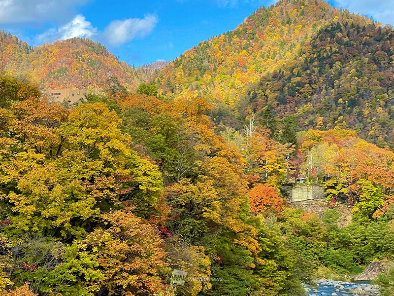 紅葉の見頃時期をエリア毎に紹介 東京や京都は11月下旬からシーズンに ウェザーニュース