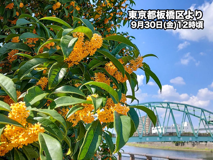 ニュースキン　6点 専用です！ 2025 KAWASAKI ZX636 UNKNOWN , VIN: JKBZXJJ12SA022651