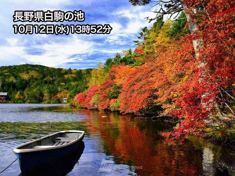 紅葉見頃予想22 栃木 日光は10月下旬 京都 嵐山は11月下旬から見頃に ウェザーニュース