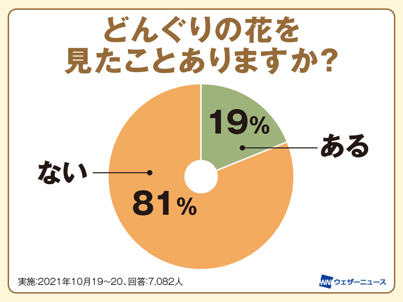 どんぐりはどんな花を咲かせる 見たことない人が8割以上 ウェザーニュース