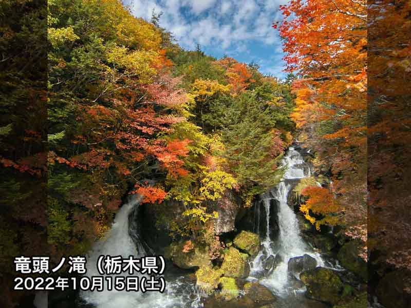 栃木 奥日光で紅葉が見頃 鮮やかに色づく ウェザーニュース