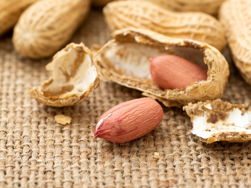 今が旬の落花生 ピーナッツ 実は役に立つ 殻 の利用法3選 ウェザーニュース