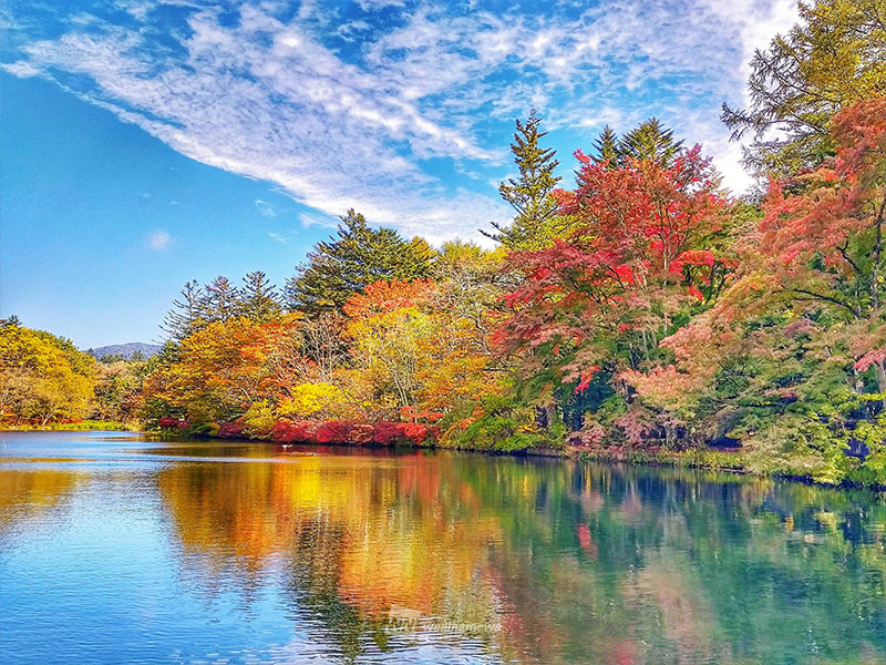 紅葉 週末のおすすめ情報 中禅寺湖や上高地・河童橋付近で見頃に - ウェザーニュース