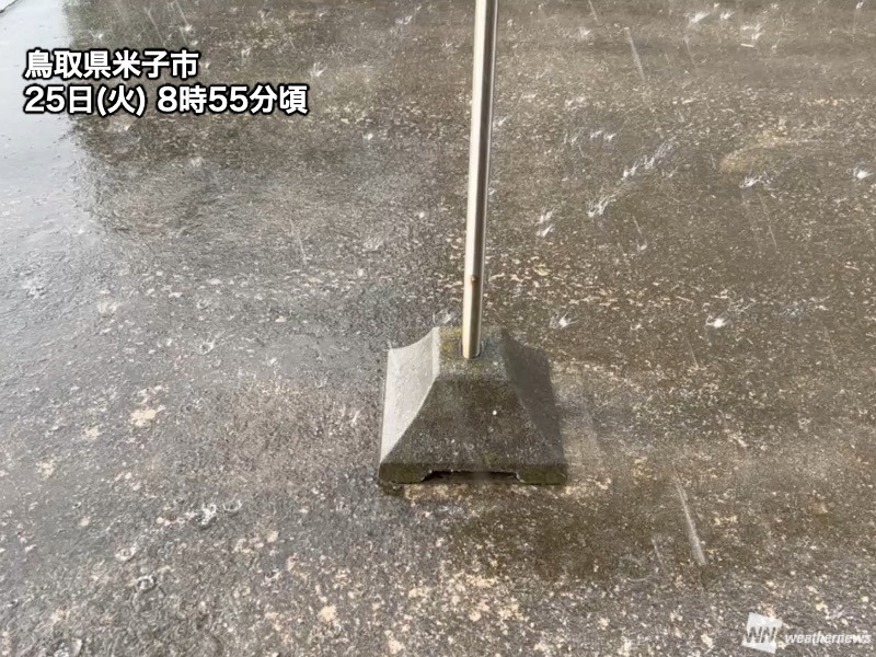 希少　気象　天然の雹　ひょう　千葉・茨城産　落ちたてホヤホヤ厳選採集 希少 気象 天然の雹 ひょう 千葉・茨城産 落ちたてホヤホヤ厳選
