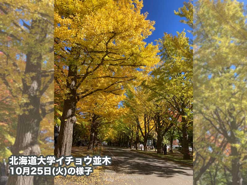 紅葉 週末のおすすめ情報 日光 いろは坂や宮城 鳴子峡で見頃に ウェザーニュース