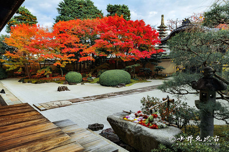 京都を撮り続けて50年！ 写真家・水野克比古氏オススメの紅葉穴場 