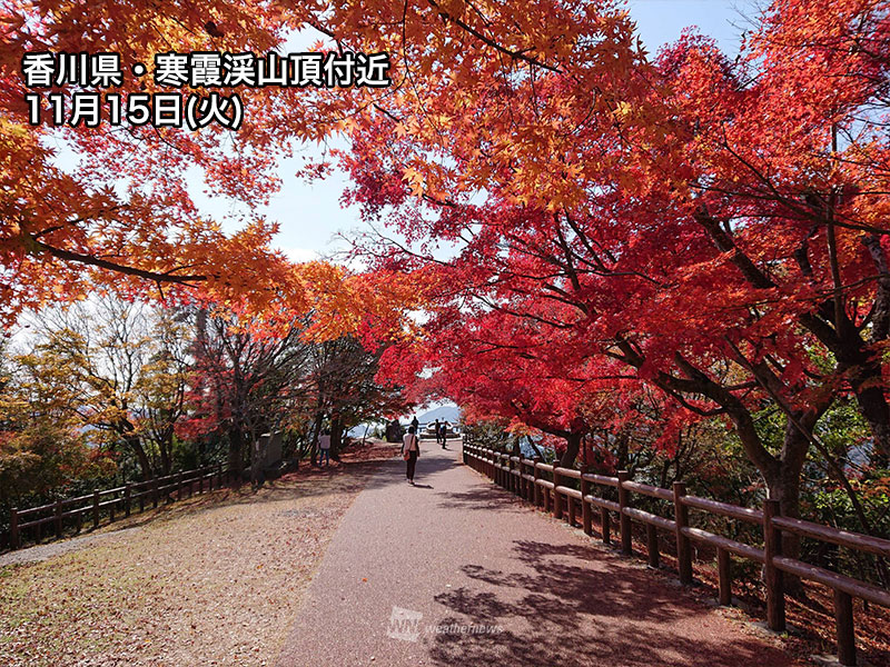 紅葉 週末のおすすめ情報 明治神宮外苑や嵐山で見頃シーズンに ウェザーニュース