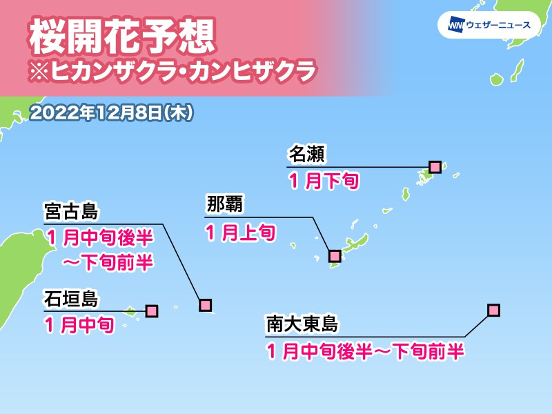 沖縄 奄美地方の桜開花予想23年 ウェザーニュース