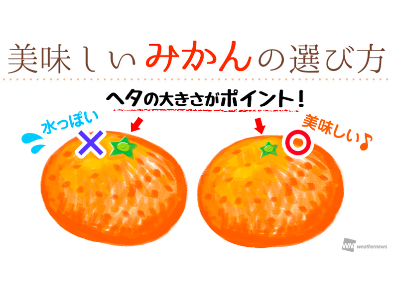 美味しいみかんの見分け方 皮の色や表面、ヘタでもわかる！ - ウェザー 