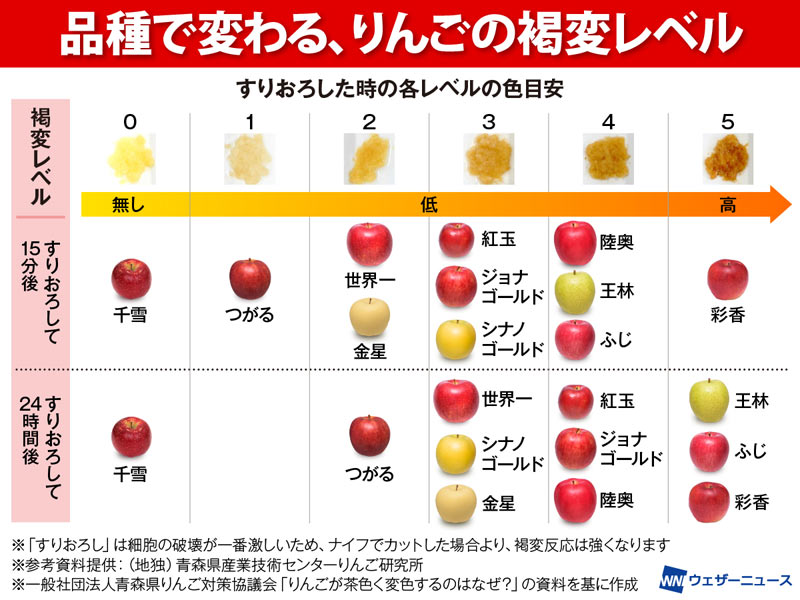 りんごが茶色くなると食味や栄養はどう変わる？ - ウェザーニュース