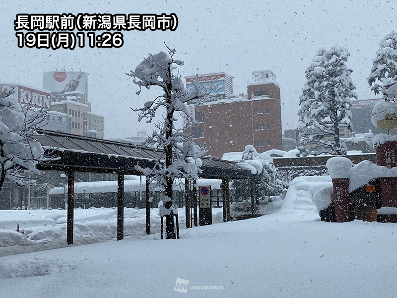 新潟県などでドカ雪、交通障害も 大雪警戒 ウェザーニュース