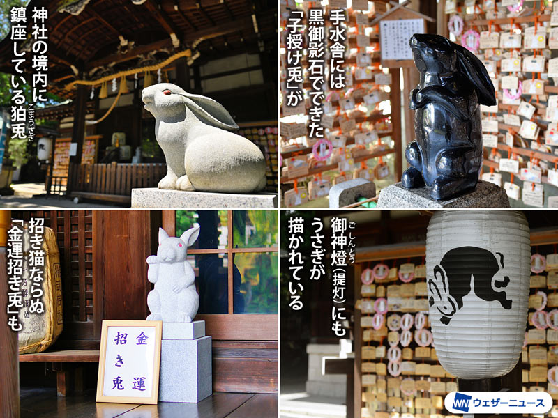 初詣は卯年にオススメの「うさぎ神社」で開運祈願！ - ウェザーニュース