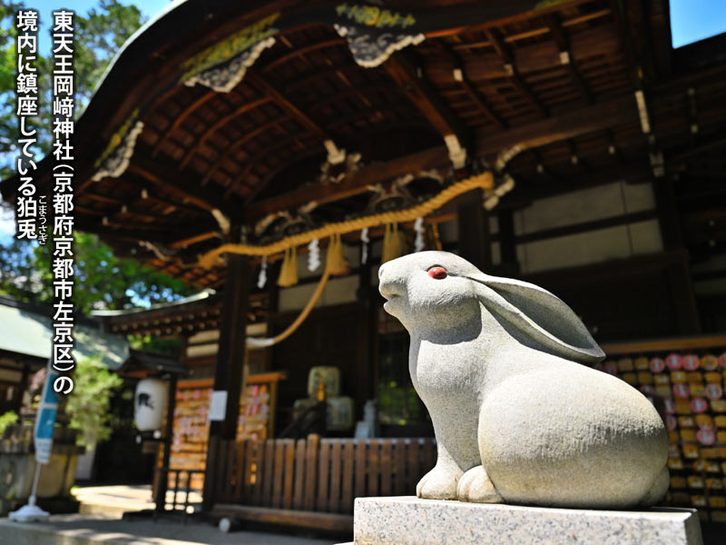 岡崎神社のうさぎ