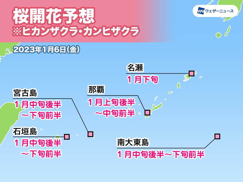 沖縄 奄美地方の桜開花予想23年 ウェザーニュース