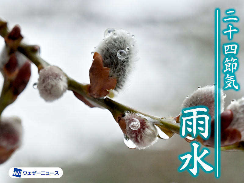 二十四節気「雨水」 雪が雨に変わり、春の気配が濃くなる頃 - ウェザーニュース