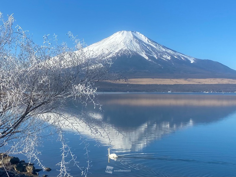 世界遺産の富士山 「自然遺産」ではなく「文化遺産」の理由とは ...