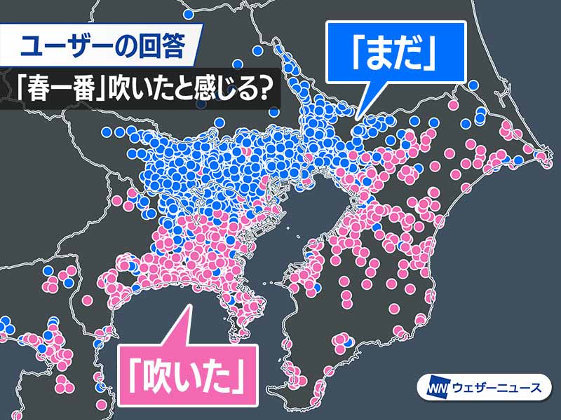 千葉や神奈川は強風で交通機関に影響　東京は強まらず春一番の発表なし