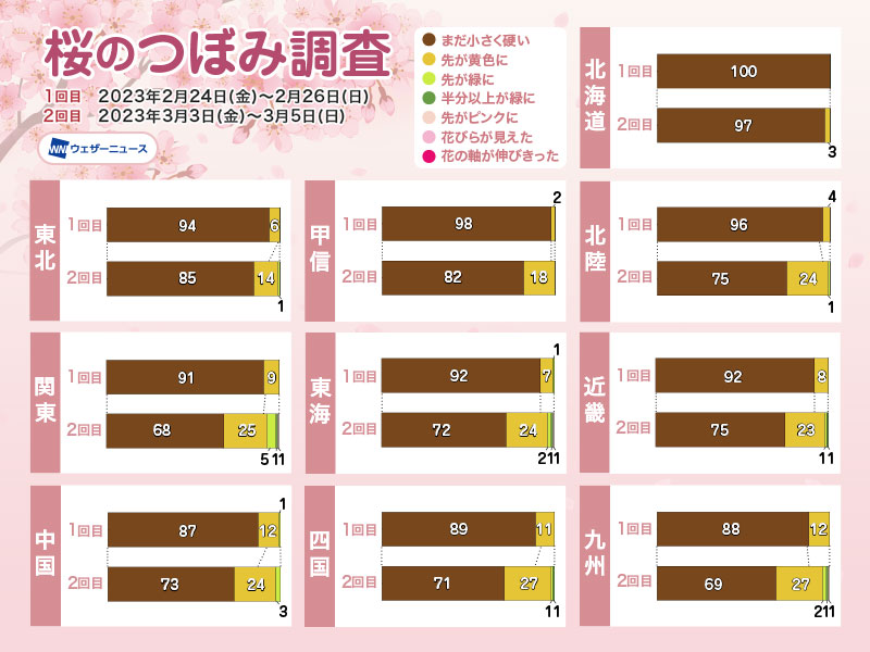 一部で桜のつぼみの「先が緑に」 今後は生長が一気に加速 - ウェザー