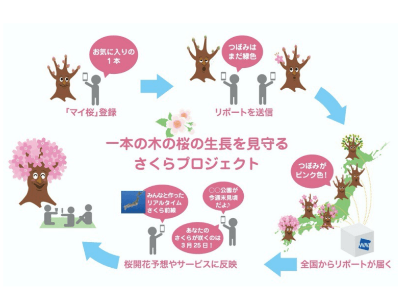 一本の桜とともに春を過ごそう「さくらプロジェクト」とは 動画で解説
