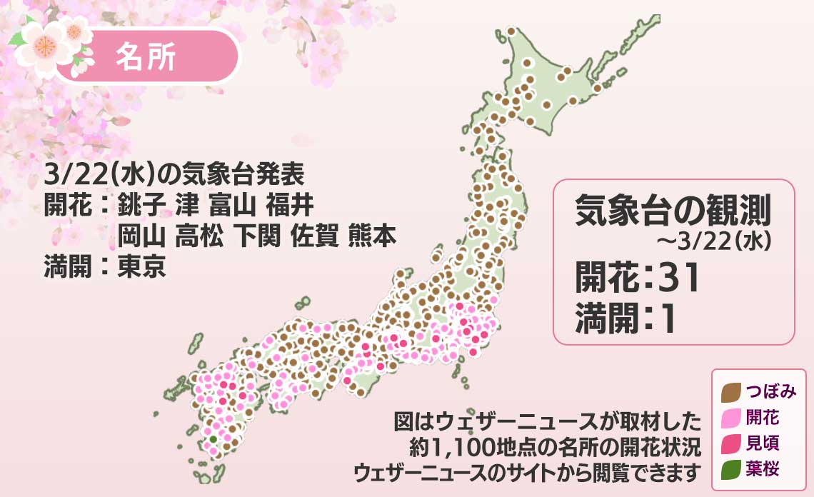 今日の桜前線 3月22日(水) 今日だけで9県で開花発表 東京はついに満開