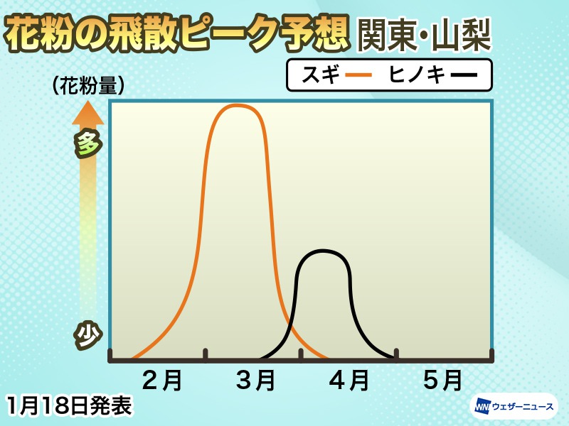 東京はスギ花粉からヒノキ花粉の季節へ 飛散ピークは4月中旬にかけて