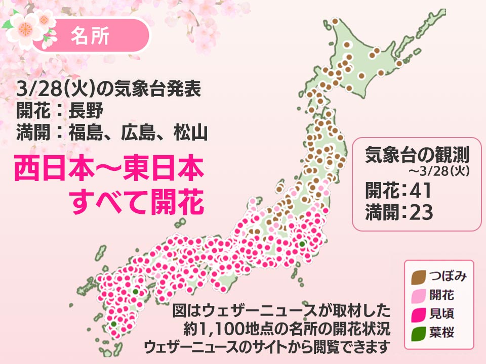 今日の桜前線 3月28日(火) 西、東日本すべてで桜開花の便り 福島も満開