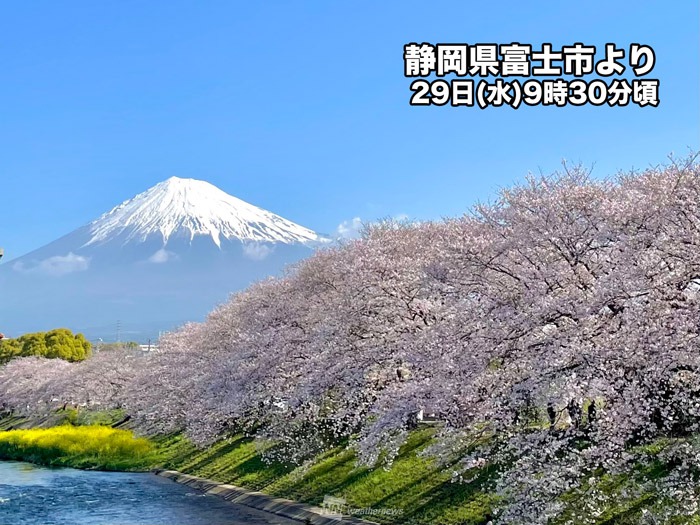 久しぶりにクッキリ富士山の全景 華が彩る春の景色 - ウェザーニュース
