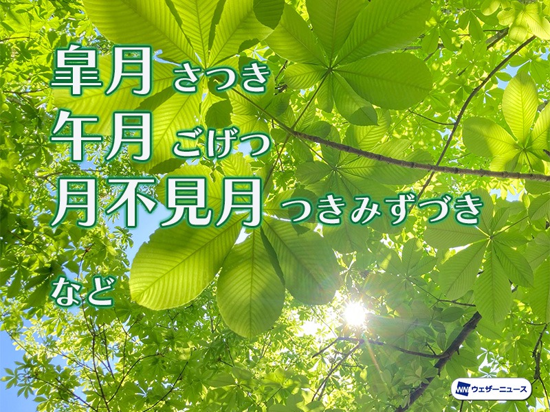 さつき様ご確認用 12種セット （皐月」の「さ」に込められた意味 