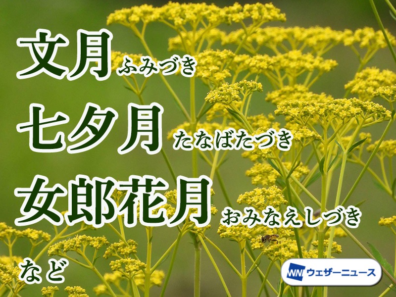 7月のいろいろな呼称 「七夕」「お盆」にまつわるものなど - ウェザーニュース