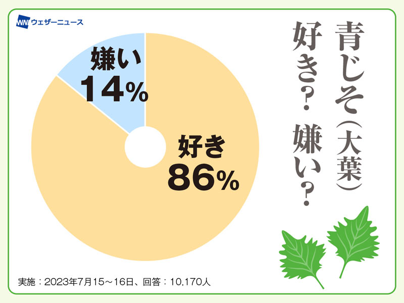 夏に嬉しい効果が!? 野菜の中でもトップクラスの「しそ」の栄養とは