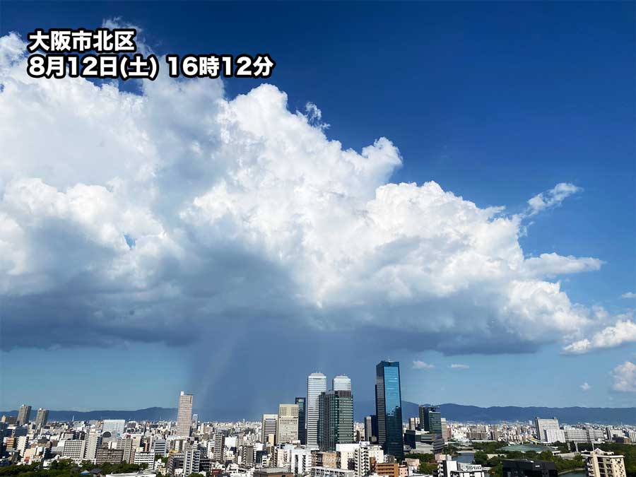 大阪府北部でゲリラ豪雨 大きな雲の下に「雨柱」が出現 ウェザーニュース