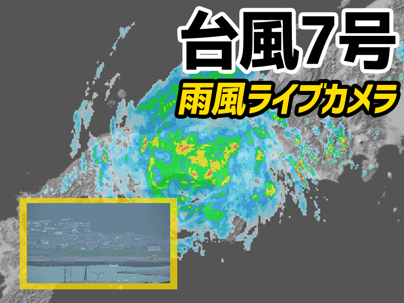 生中継】台風7号 特設ライブカメラ（近畿3地点） - ウェザーニュース