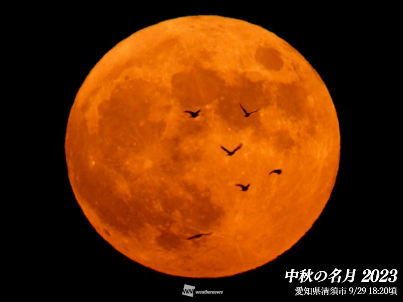 十五夜・中秋の名月が夜空に浮かぶ 今日はちょうど満月 - ウェザーニュース