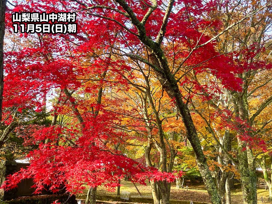嘆息の錦秋 東日本の山沿いや東北で紅葉が見頃に - ウェザーニュース