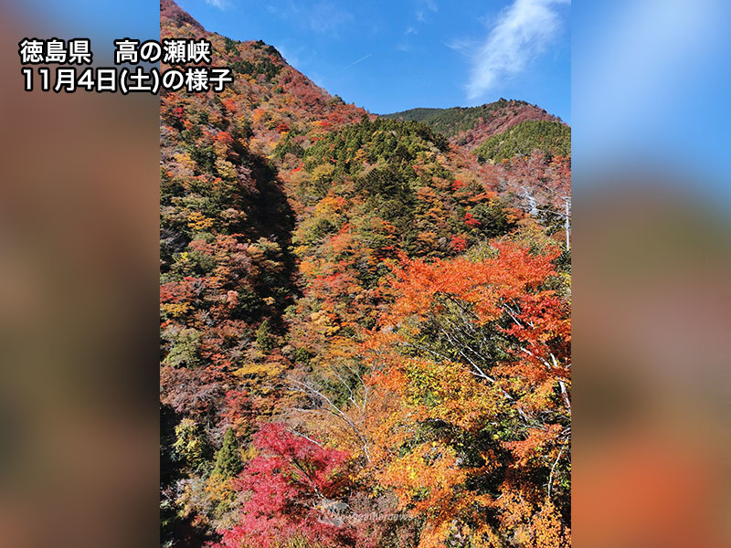 紅葉 プロフ必読さん 確認用 高津戸峡の紅葉(群馬県) ｜紅葉名所2025