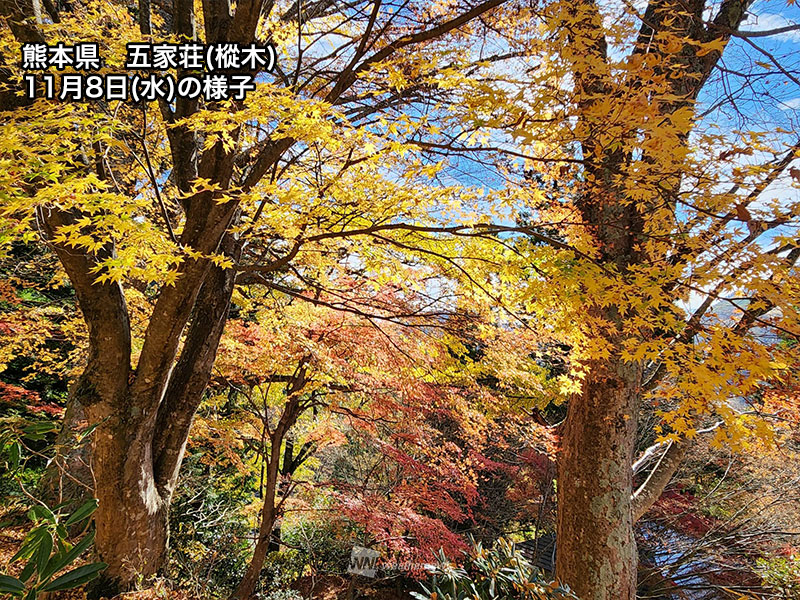 紅葉 週末に見頃のスポット 東京の奥多摩湖や高尾山山頂で色づく