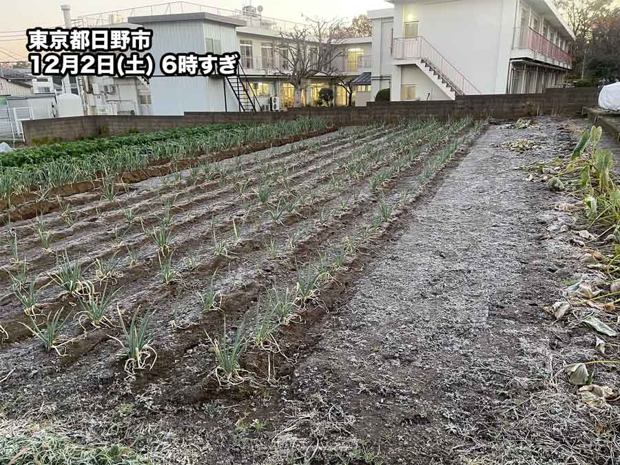 First frost observed in Tokyo 3 weeks earlier than normal In Hokkaido, temperatures below -20℃ for the first time this season