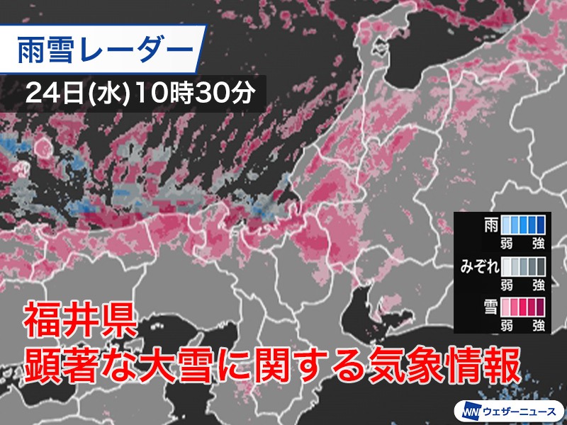 福井県で強い雪 気象台が「顕著な大雪に関する気象情報」発表 ウェザーニュース