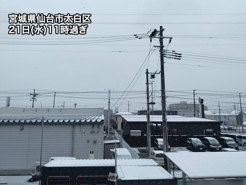 Cocaína húmeda en el sur de Tohoku y la ciudad de Sendai además cubierta de cocaína – Weather News CINEINFO12