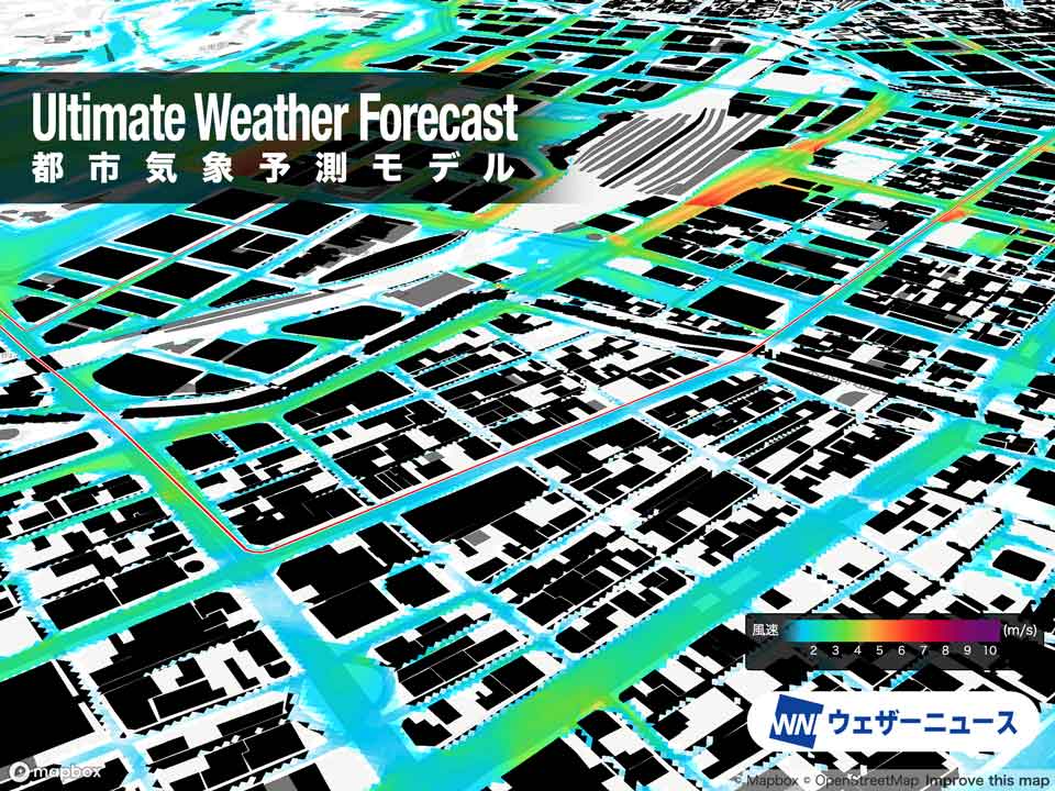 Tokyo Marathon 2024 Weather Forecast Ultimate Guide for Runners and