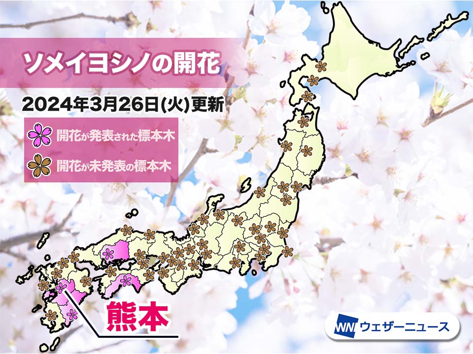 Cherry Blossom Blooming Forecast 2024: Stay Updated with Weather News