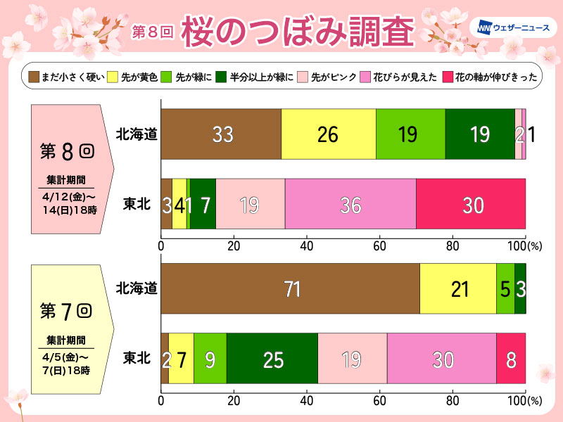 桜前線は北海道までもう一息 季節先取りの暖かさで生長 - ウェザーニュース