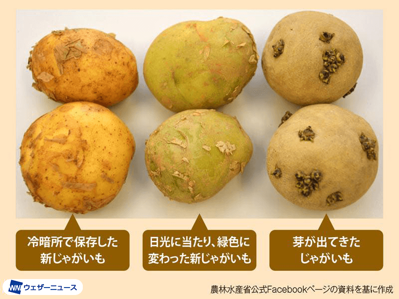 新じゃがいもは意外と繊細!? 保存には注意が必要