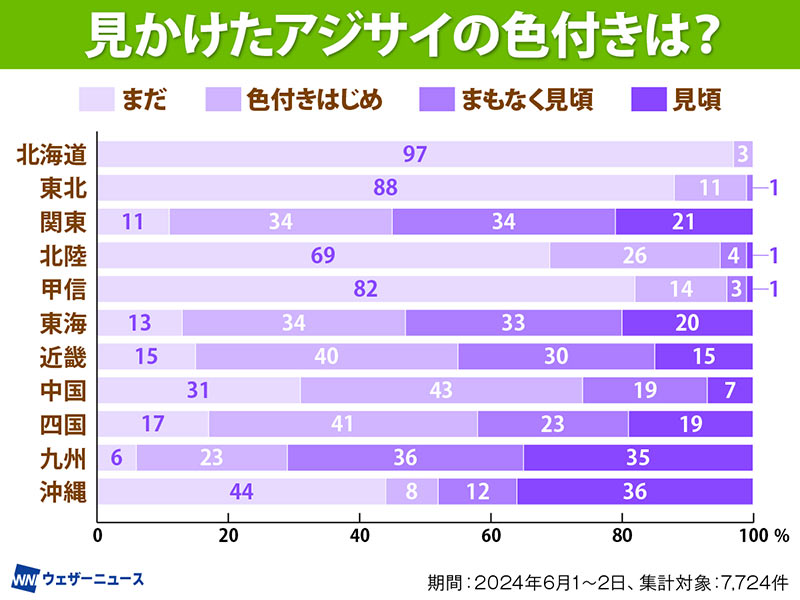 紫陽花は2000種以上も!? 日本で見られる代表的な品種は？